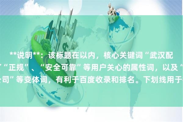 **说明**:该标题在以内,核心关键词“武汉配资炒股”前置,并加入了“正规”、“安全可靠”等用户关心的属性词,以及“平台”、“公司”等变体词,有利于百度收录和排名。下划线用于视觉分隔,符合常见SEO标题撰写规范。
